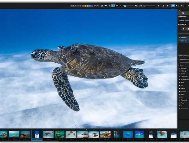 Excire Foto showing an image alongside its AI keyword panel with category counts and a filmstrip