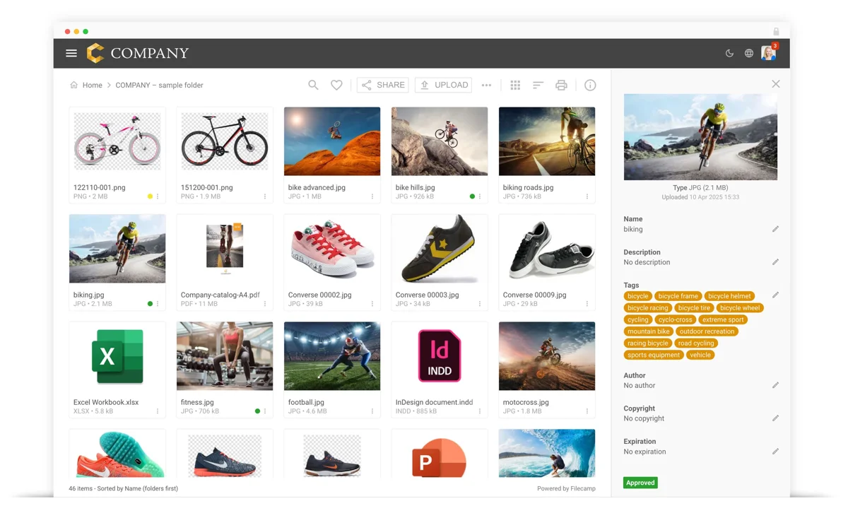 Filecamp library with a custom COMPANY brand theme, a thumbnail grid of assets and a right-hand metadata panel with tags and an Approved status