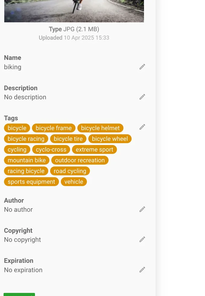 A DAM metadata inspector panel showing Name, Description, Tags, Author, Copyright and Expiration fields